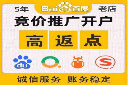百度搜索引擎优化推广：成功案例揭秘